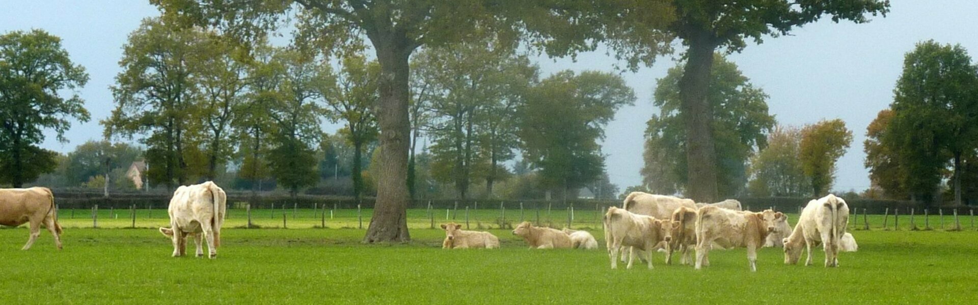 Bienvenue Dans la commune de Charrin dans la Nievre